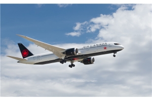 疫情期間,eBay賣家如何順暢發(fā)貨不排倉?