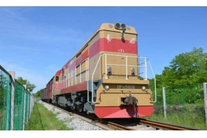 歐洲亞馬遜鐵派專線價格表