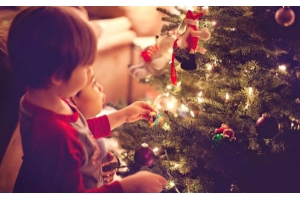 圣誕樹如何出口?圣誕樹國際物流攻略