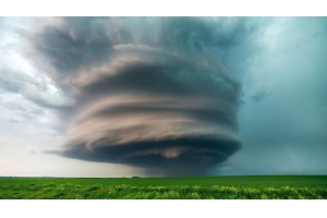 奧克蘭港遭龍卷風襲擊，貨運樞紐嚴重受損