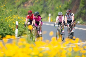 歐洲市場(chǎng)對(duì)自行車(chē)需求旺盛，銷(xiāo)售額激增了40%