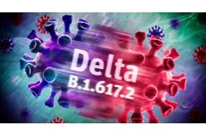 Delta病毒疫情將推動(dòng)美國(guó)假日線上購(gòu)物潮