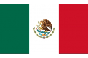 墨西哥電商市場(chǎng)概況：增長(zhǎng)率高達(dá)81%