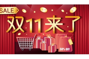 速賣通雙11投入超300架次包機提速跨境物流