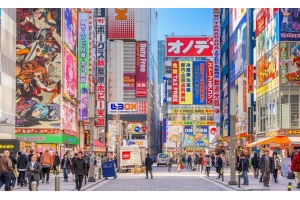 日本專線-日本佐川小包專線，可走化妝品