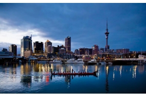 新年囤貨，新西蘭人跨年網購支出超過去兩年