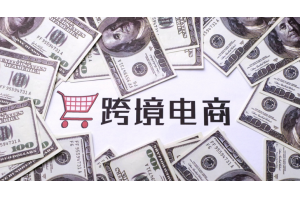 跨境電商獨(dú)立站-亞馬遜-速賣通倉(cāng)儲(chǔ)代發(fā)貨