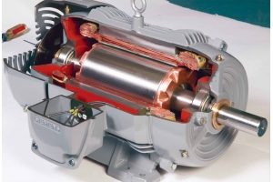 帶有品牌logo的貨物發(fā)什么國(guó)際快遞