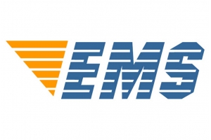 如何應對香港EMS包裹的關務審批問題?