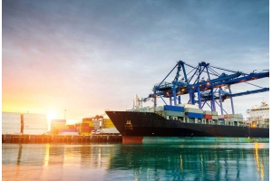 電商賣家如何應對國際貨物運輸中的海關審查?