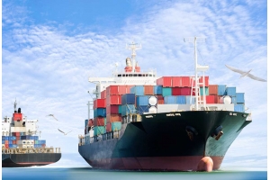 干花在國(guó)際快遞中的運(yùn)輸路線選擇有何注意事項(xiàng)?