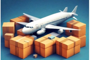 新手跨境賣家發貨注意事項|物流流程中的常見問題與解決方案