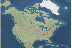 美國T86清關(guān)政策或?qū)⑷∠?亞馬遜賣家如何應(yīng)對(duì)新變局?