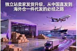 獨立站賣家發(fā)貨升級，從中國直發(fā)到海外倉一件代發(fā)的必經(jīng)之路