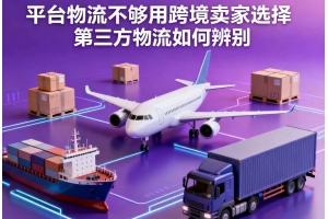 平臺(tái)物流不夠用跨境賣(mài)家選擇第三方物流如何辨別