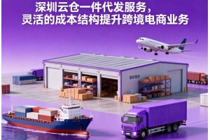 深圳云倉(cāng)一件代發(fā)服務(wù)，靈活的成本結(jié)構(gòu)提升跨境電商業(yè)務(wù)