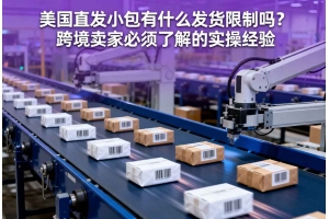 美國直發(fā)小包有什么發(fā)貨限制嗎？跨境賣家必須了解的實操經(jīng)驗