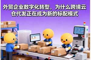 外貿(mào)企業(yè)數(shù)字化轉(zhuǎn)型，為什么跨境云倉代發(fā)正在成為新的標(biāo)配模式