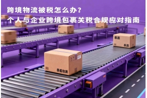 跨境物流被稅怎么辦？個人與企業(yè)跨境包裹關(guān)稅合規(guī)應(yīng)對指南